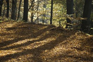 Time to Prep for Cooler Weather